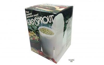 Grow your own Broccoli Sprouts